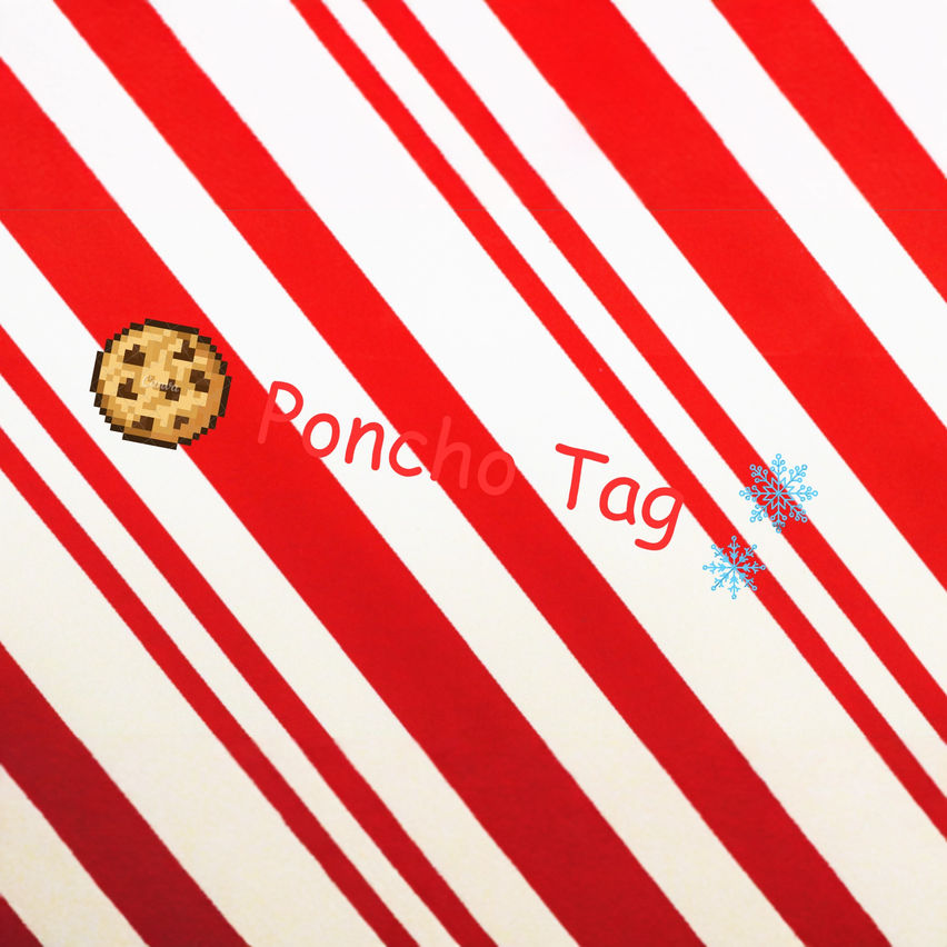 Poncho Tag