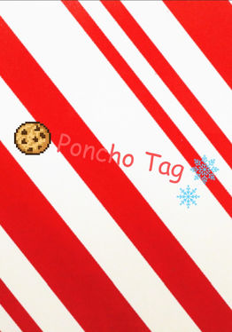 Poncho Tag