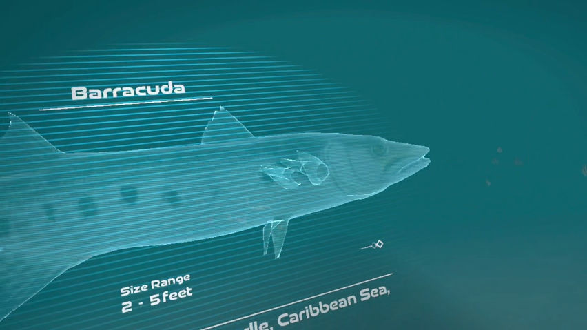 Shipwreck Discovery