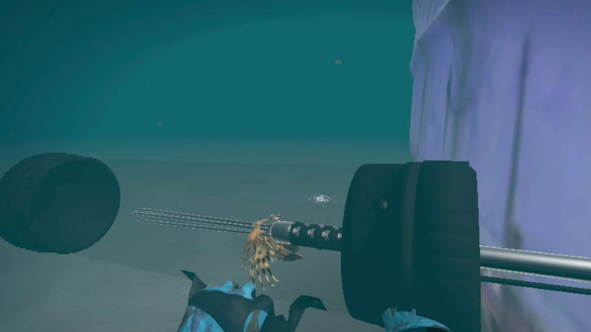 Shipwreck Discovery