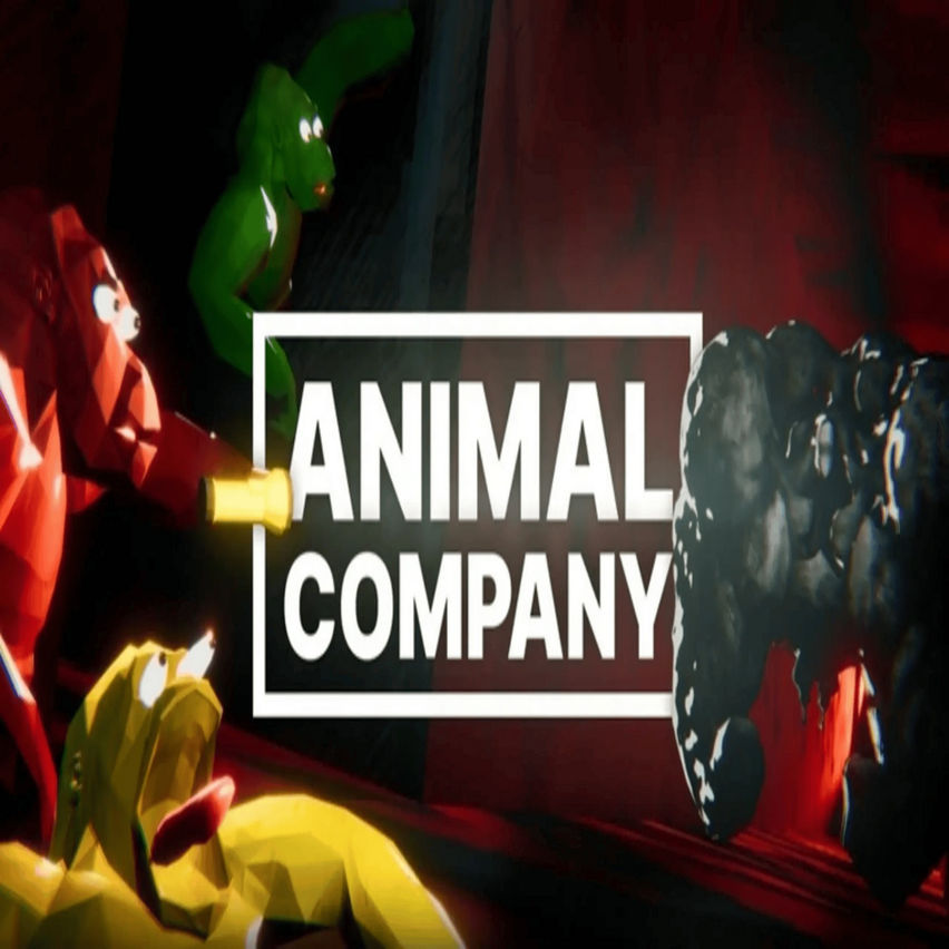 ‎𝖠nimalCompany