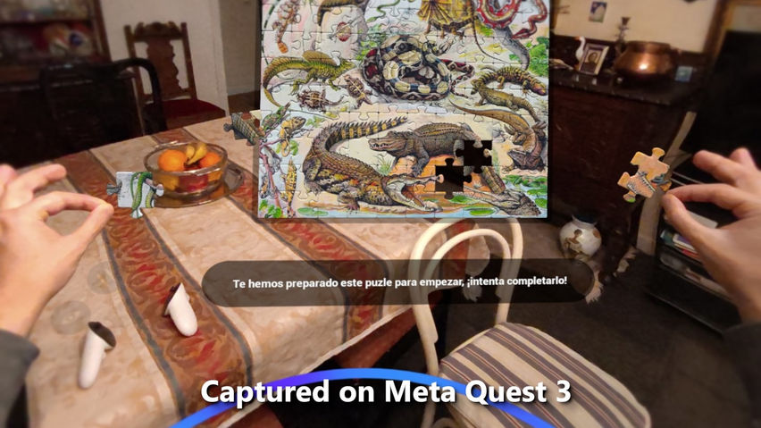 Oasis Puzzles AR
