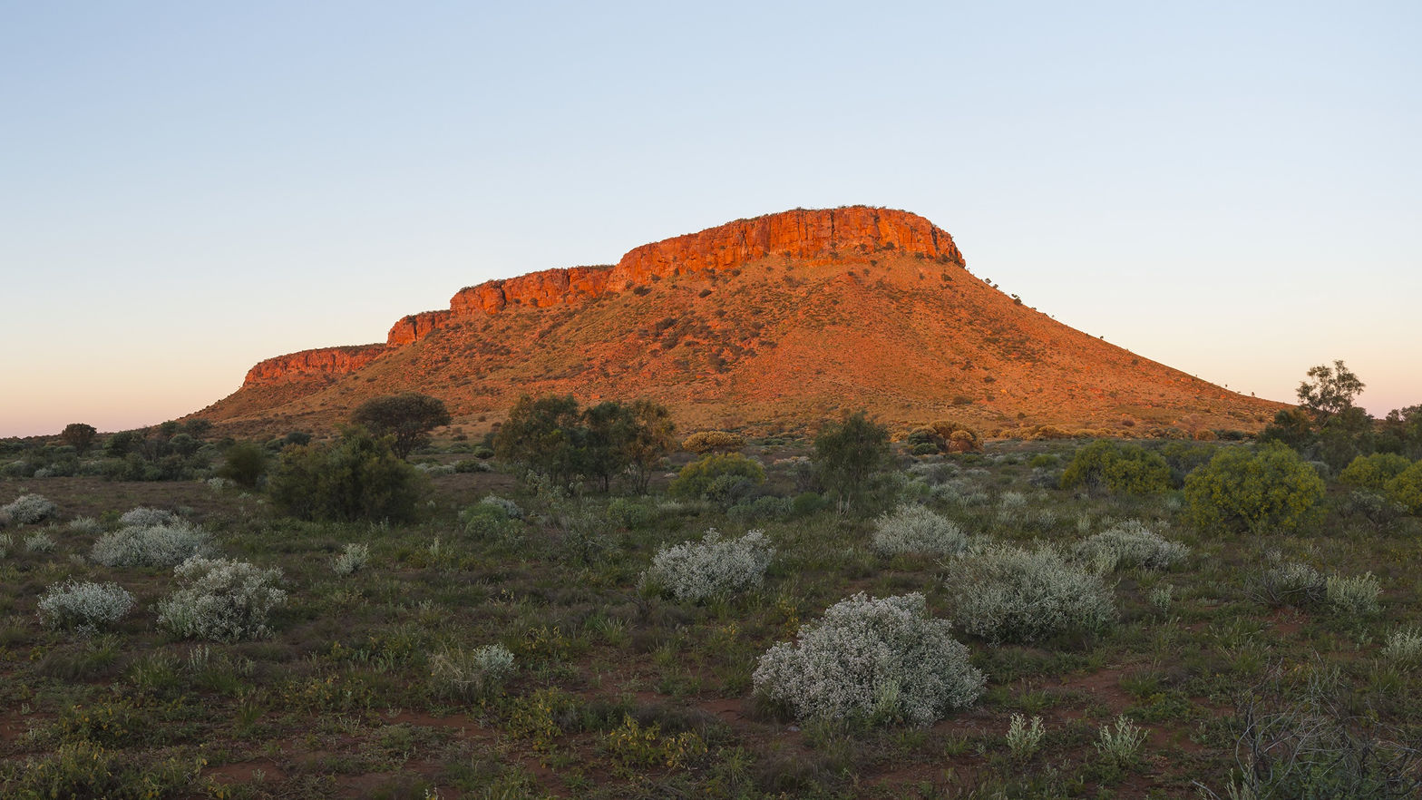Immersive  Australia