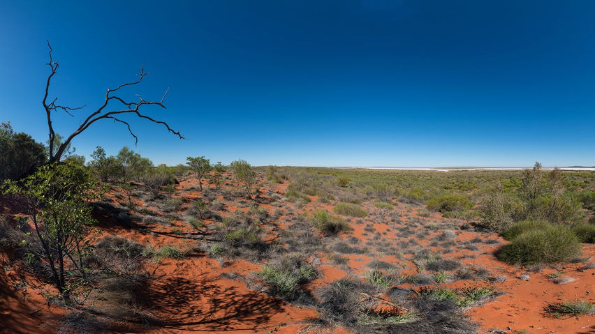 Immersive  Australia