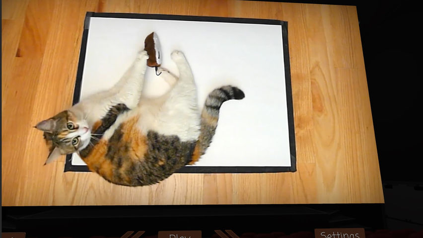 How To Draw A Cat