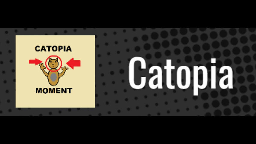 CATOPIA