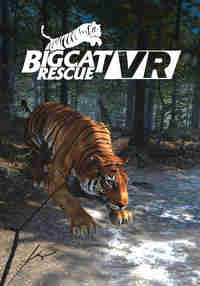 Big Cat Rescue