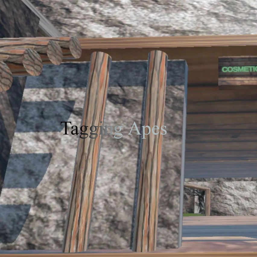 Tagging Apes