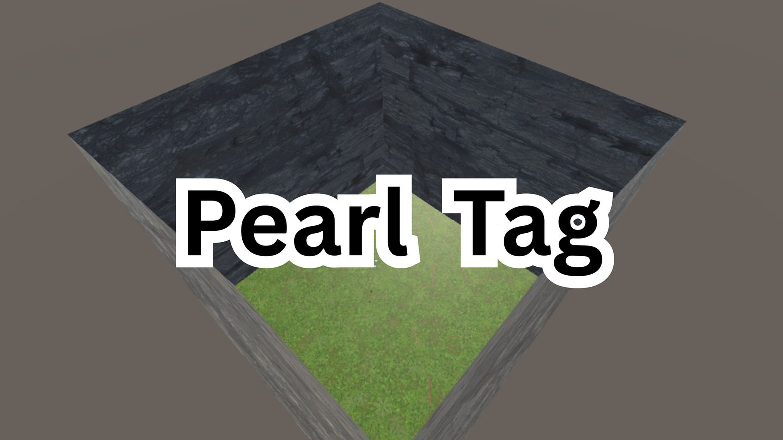 Pearl Tag