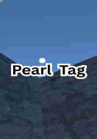 Pearl Tag