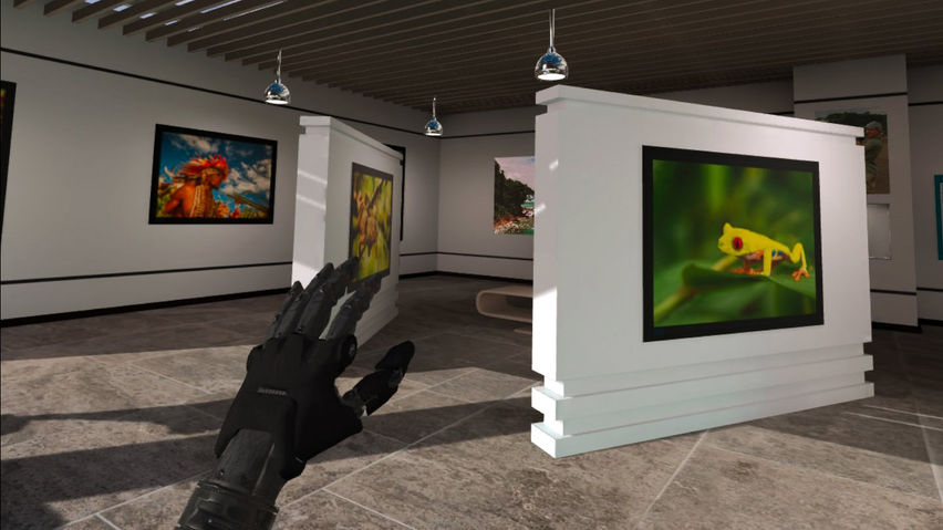 Victoria VR - ESCAPE to Nature GALLERY