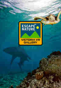 Victoria VR - ESCAPE to Nature GALLERY