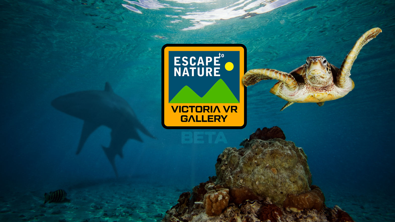 Victoria VR - ESCAPE to Nature GALLERY