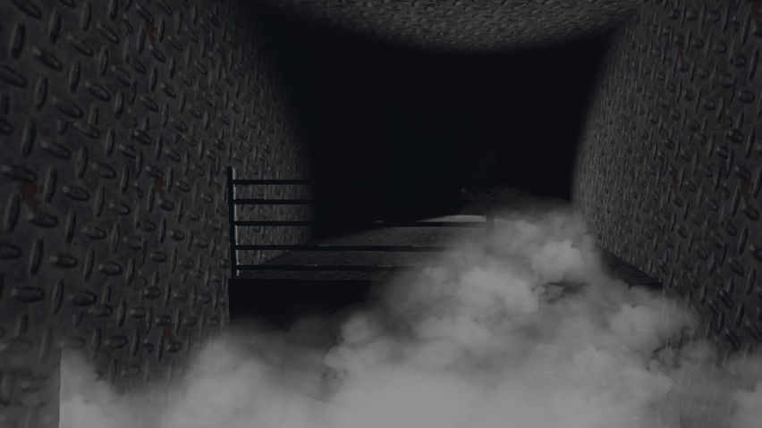 Ninjas Gorilla Horror