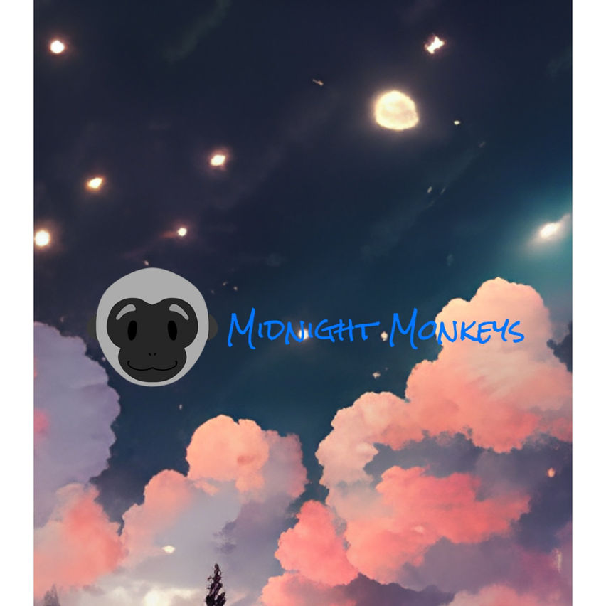 MidNight Monkeys