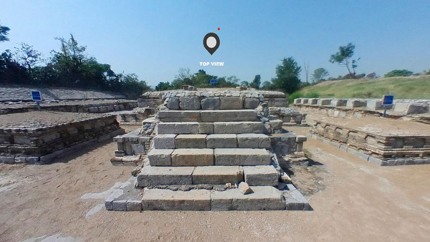 Morango VR