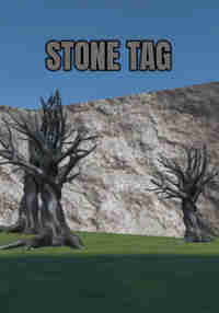 Stone Tag