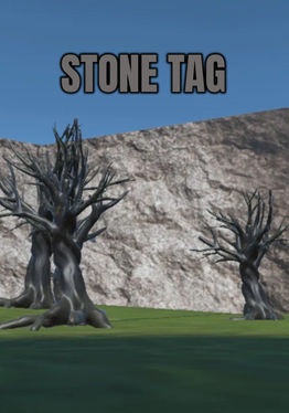Stone Tag