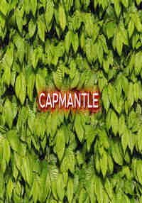 CapMantle