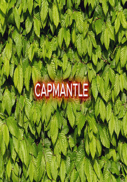 CapMantle