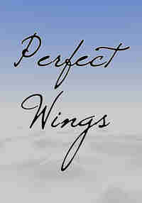 Perfect Wings