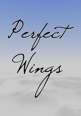 Perfect Wings