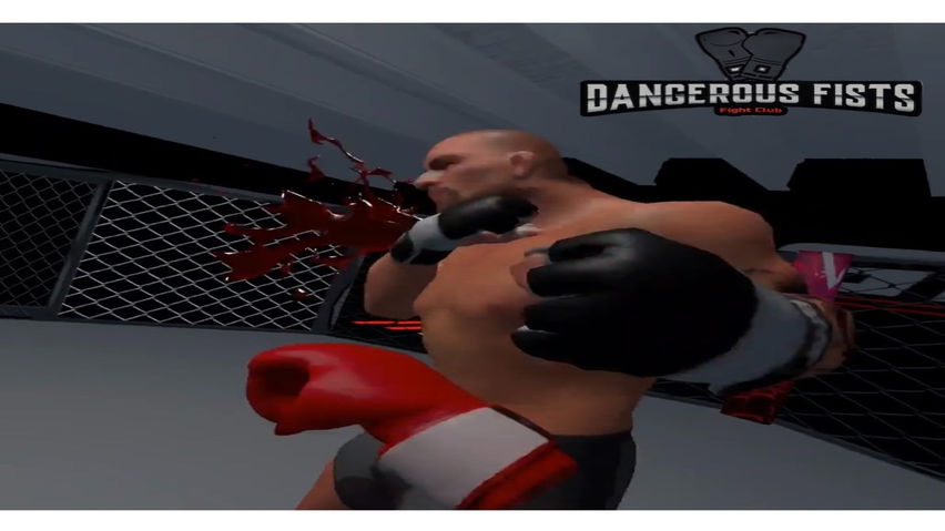 Dangerous Fists