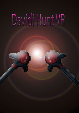 Davidi Hunt VR