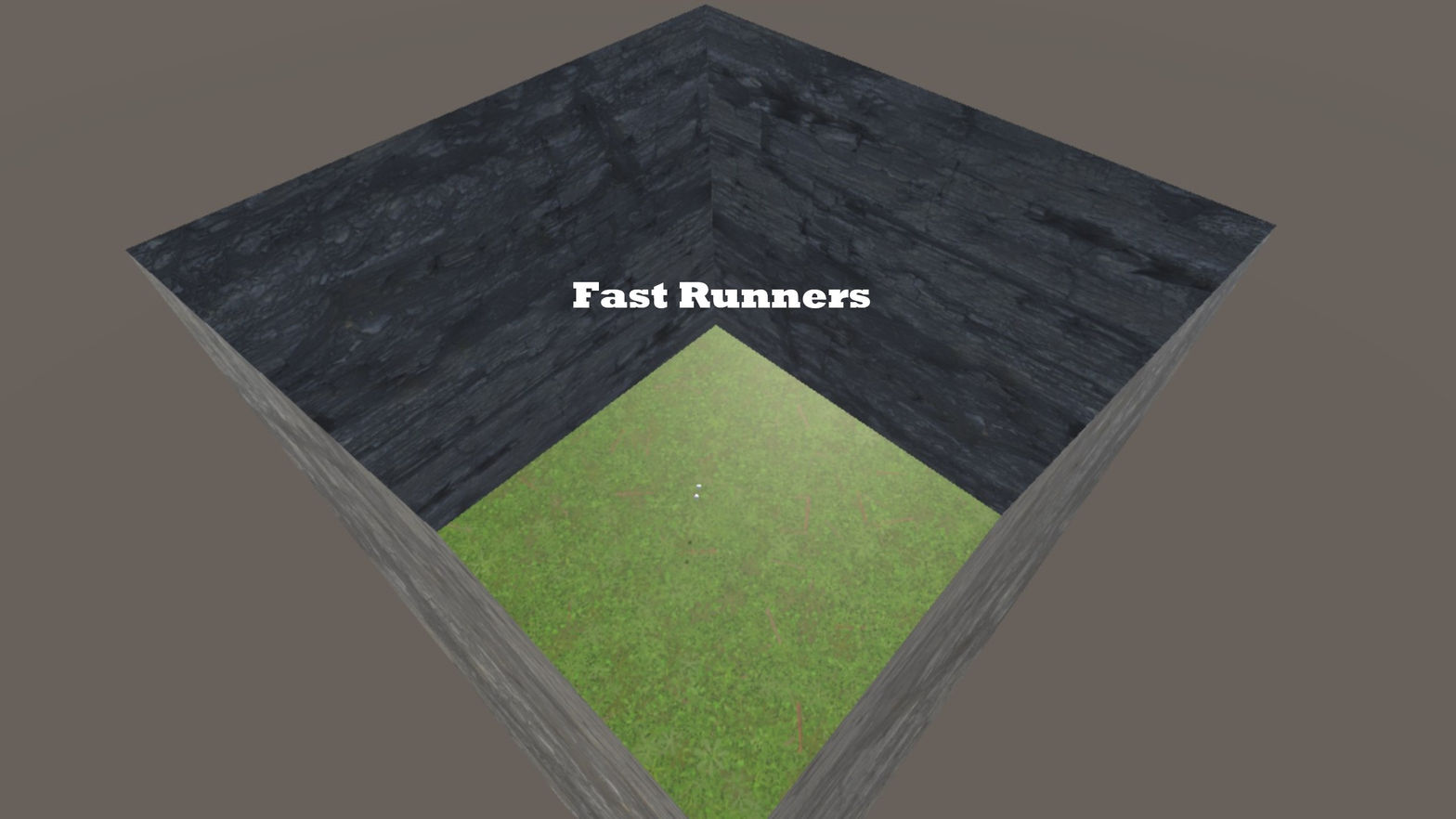 Fast Runners