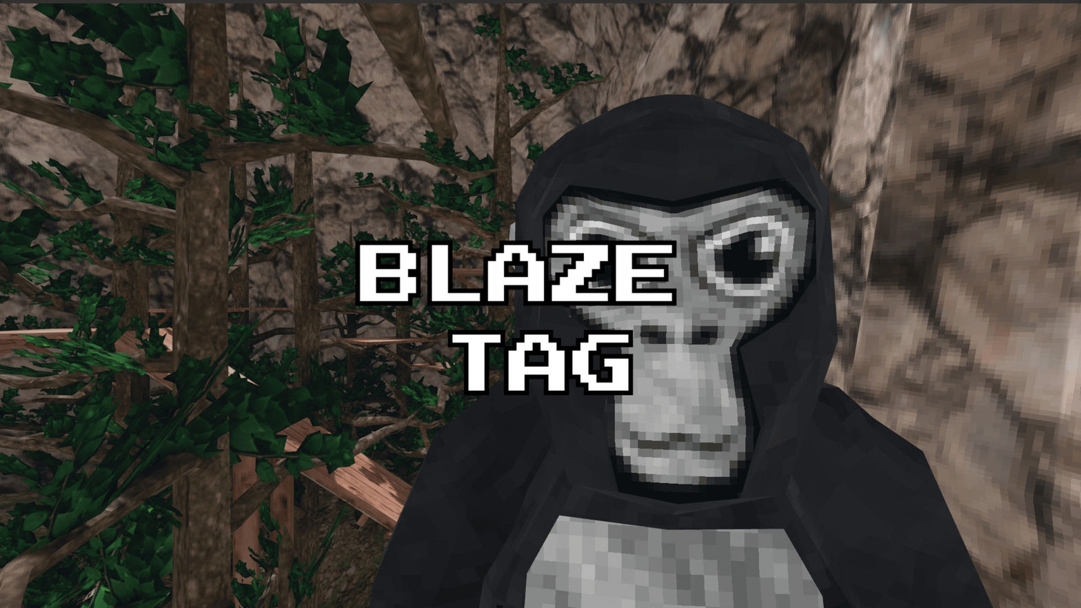 Blaze Tag