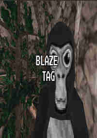 Blaze Tag