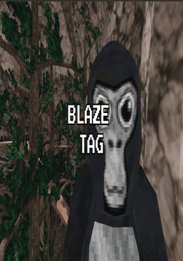 Blaze Tag