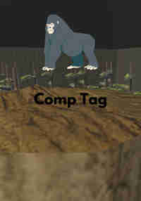 Comp Tag
