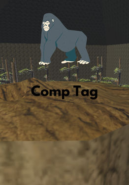 Comp Tag