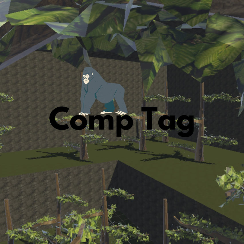 Comp Tag