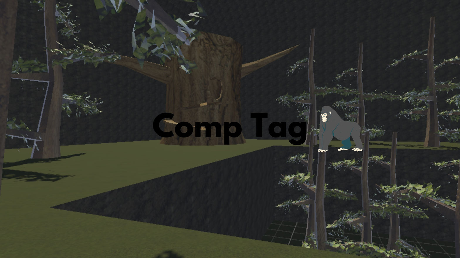 Comp Tag