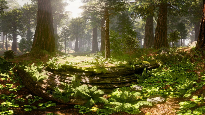 Guided Meditation VR