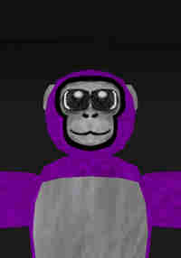 Apes Asylum