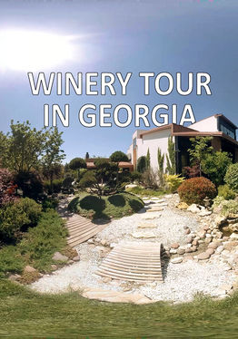 Winery Tour in Georgia