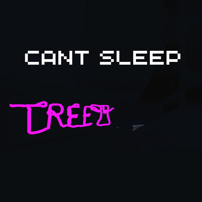 CANT SLEEP TAG