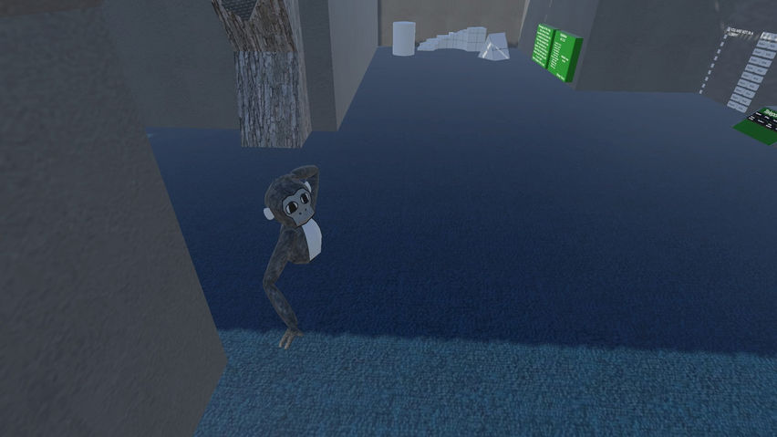 Lemur Leaners