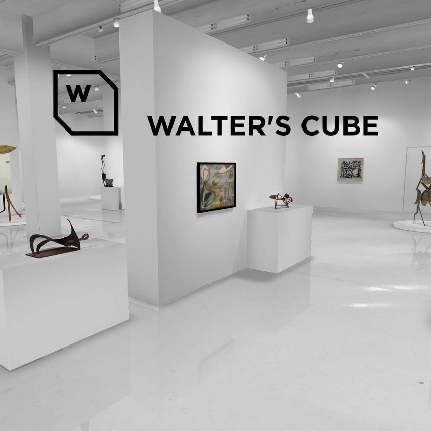 Walter's Cube VR