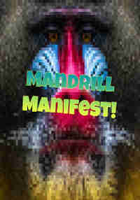 Mandrill Manifest!