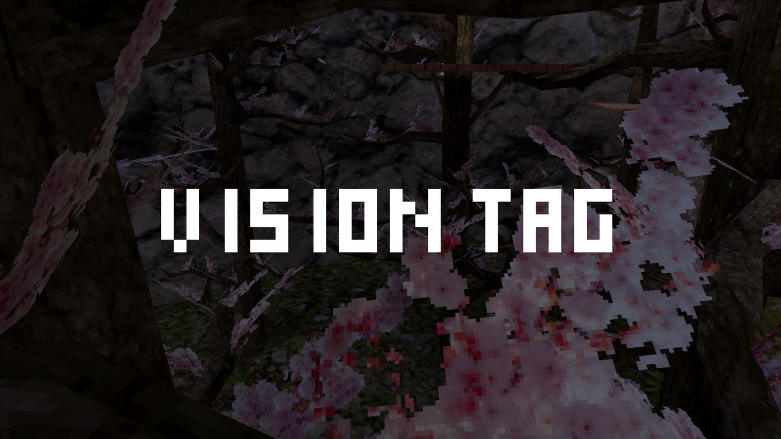 Vision Tag