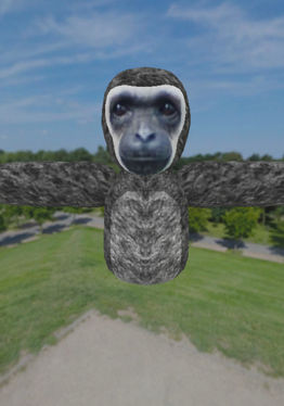 Monkey Game