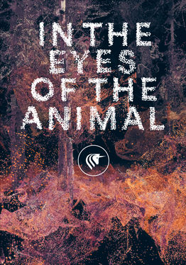 In the Eyes of the Animal