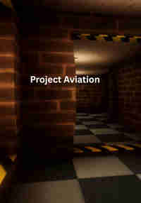 Project    Aviation