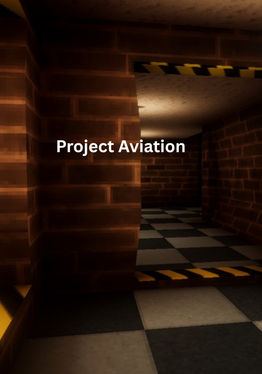 Project    Aviation