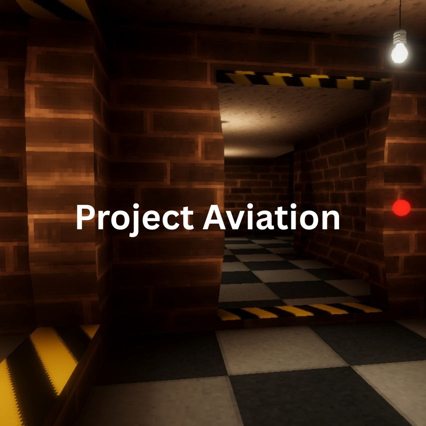 Project    Aviation