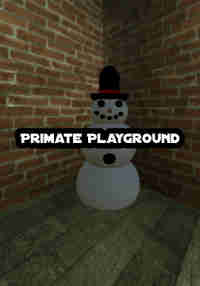 Primate Playground